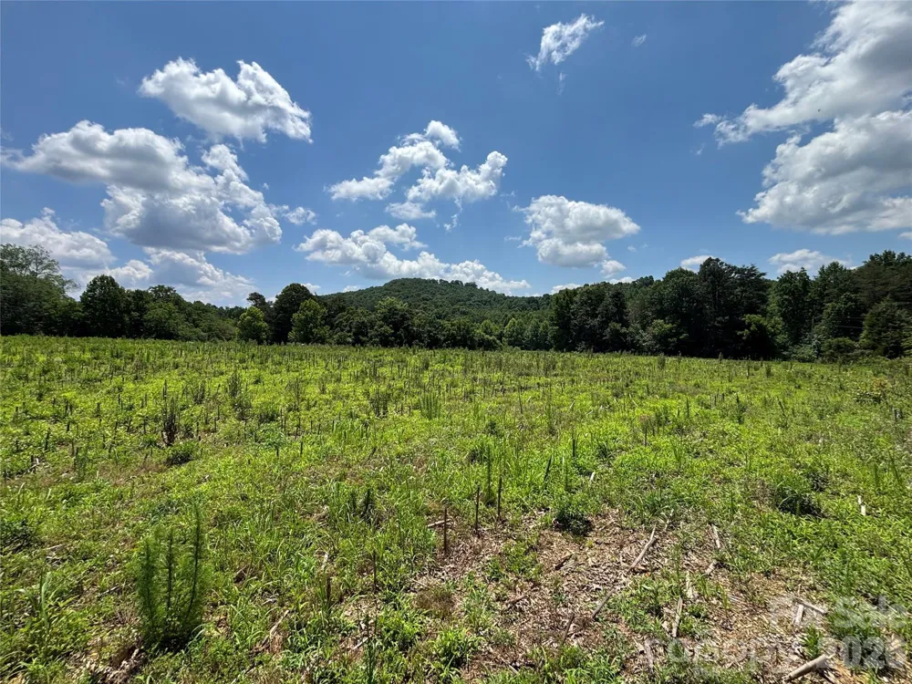 00 Brookhaven Road Statesville, NC 28625