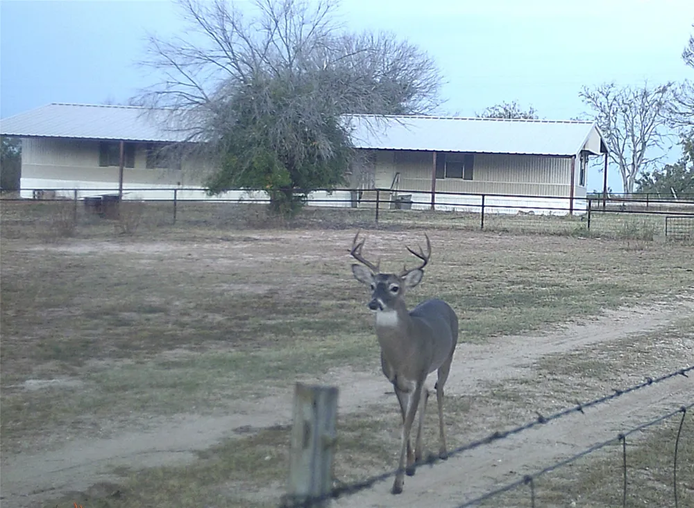 1690 County Road 530 Evant, TX 76525