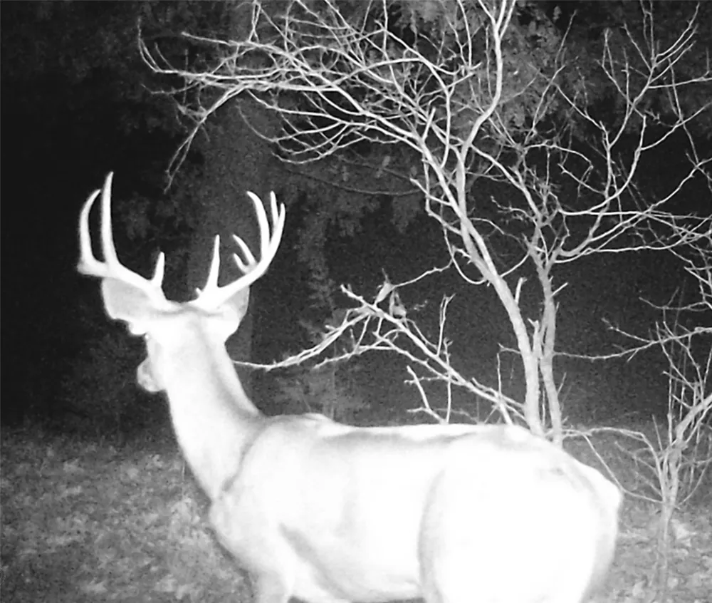 1690 County Road 530 Evant, TX 76525
