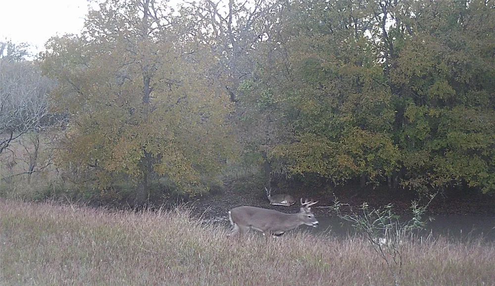 1690 County Road 530 Evant, TX 76525