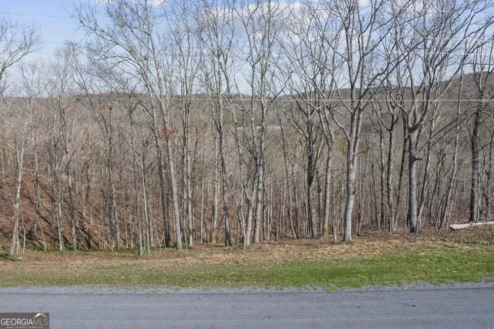 LOT 04 Blalock Mountain RD Talking Rock, GA 30175