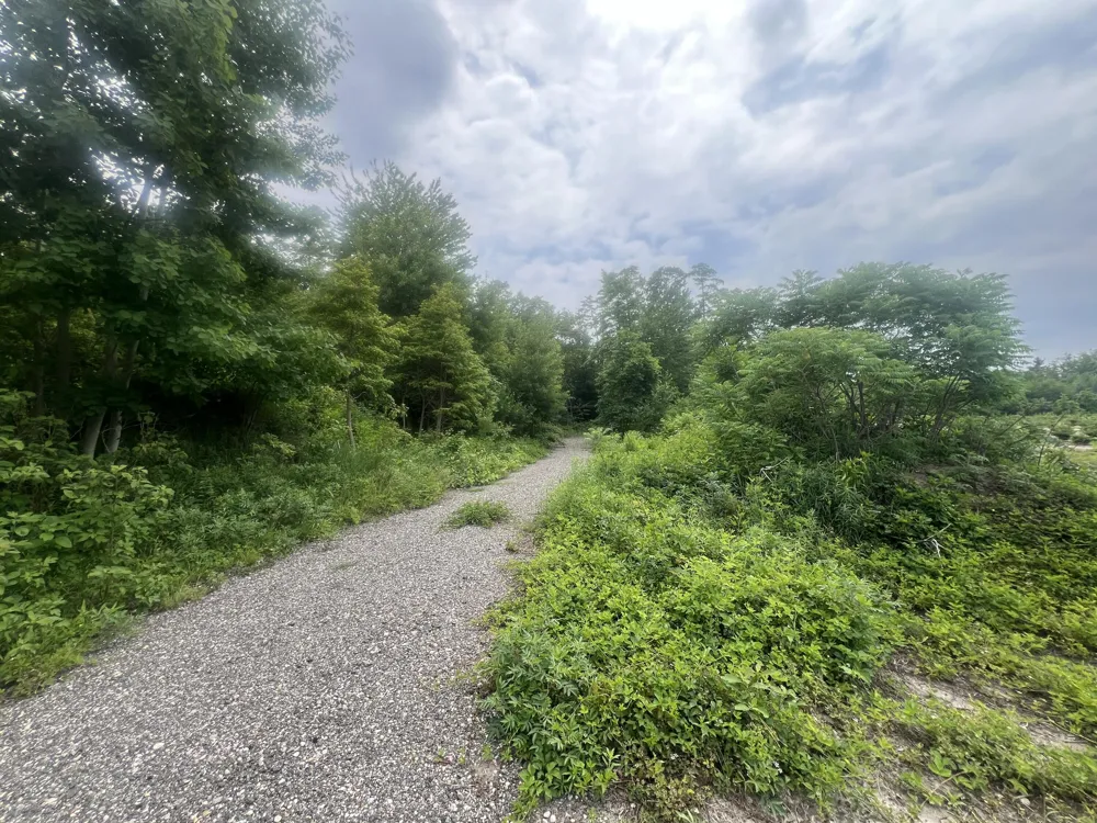 Pierce Street West Olive, MI 49460