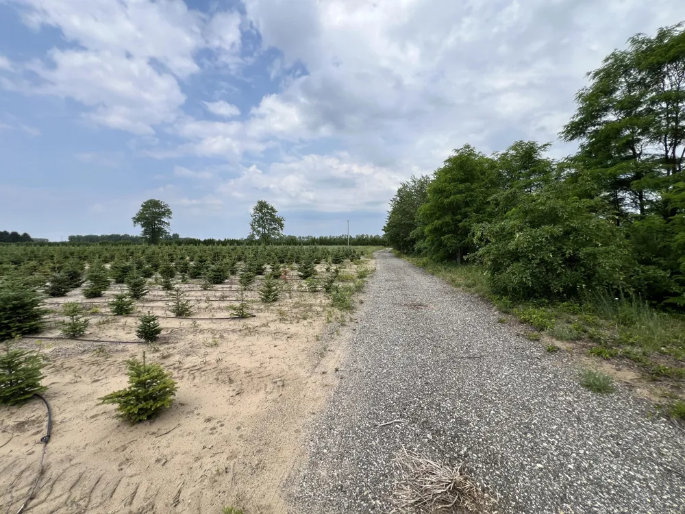 Pierce Street West Olive, MI 49460