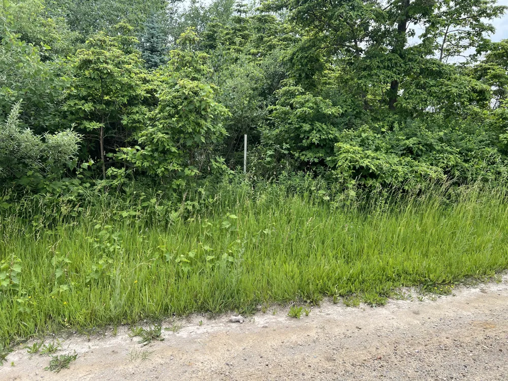 Pierce Street West Olive, MI 49460
