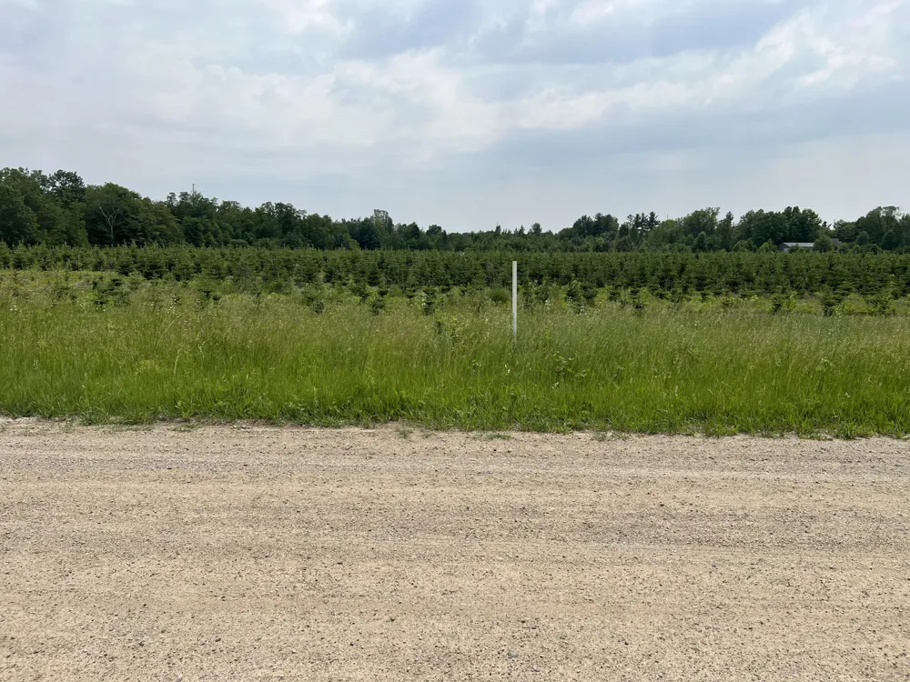 Pierce Street West Olive, MI 49460