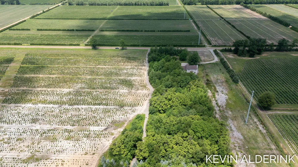 Pierce Street West Olive, MI 49460