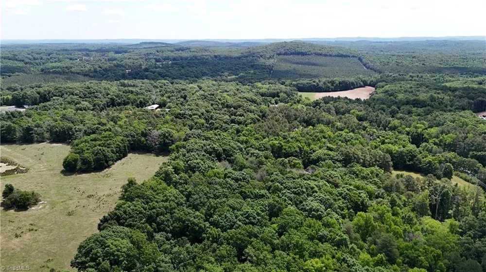 00 NC Highway 49 Denton, NC 27239