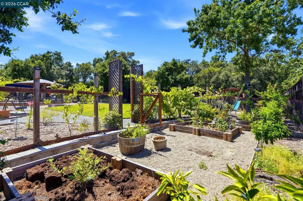3196 Diablo View Rd Lafayette, CA 94549