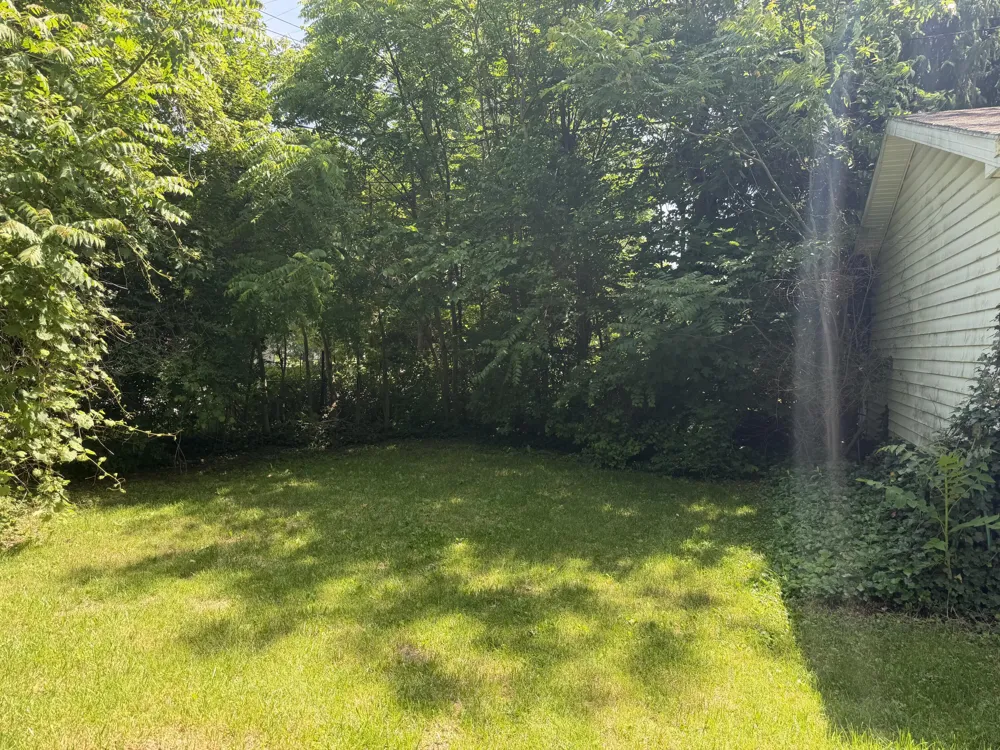 331 Spink Avenue Milan, MI 48160