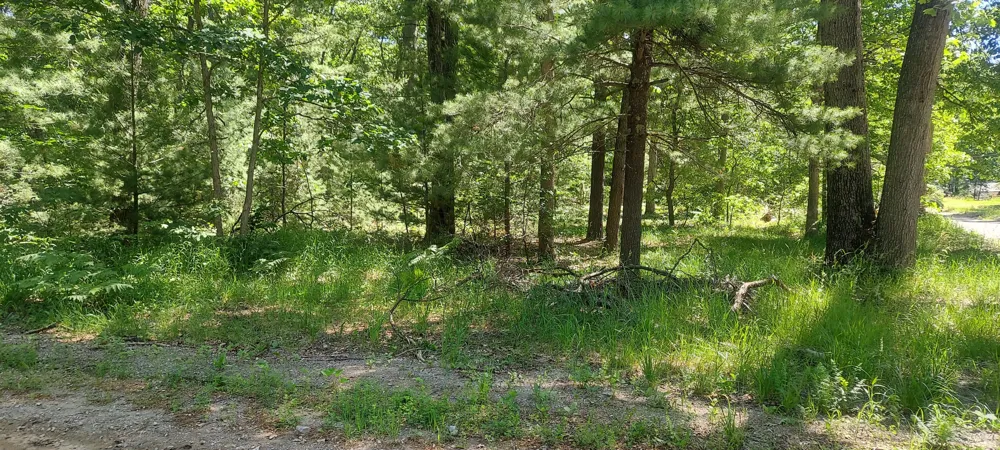 Beverlyway Drive Twin Lake, MI 49457