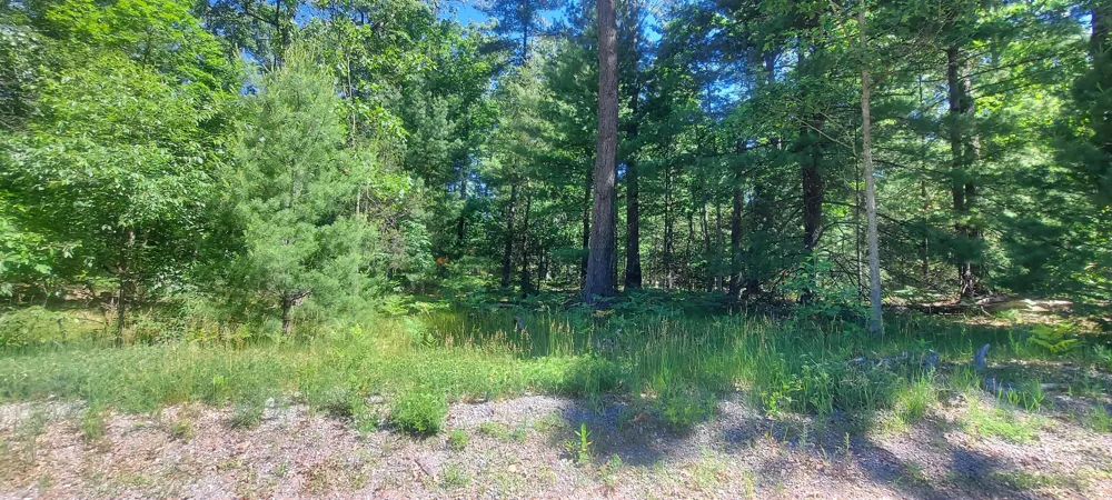 Beverlyway Drive Twin Lake, MI 49457