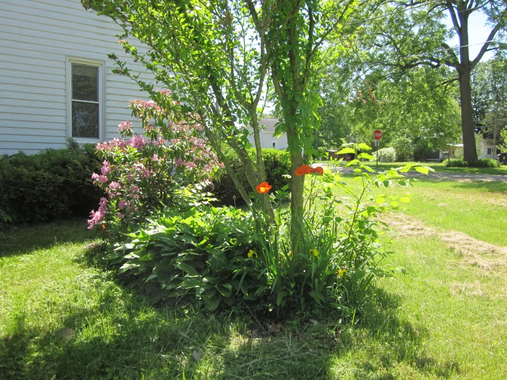 402 Alexander Street Bangor, MI 49013