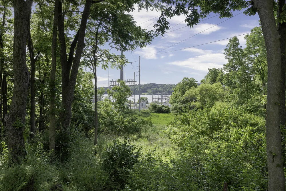 123 Hilltop Lane Cassopolis, MI 49031