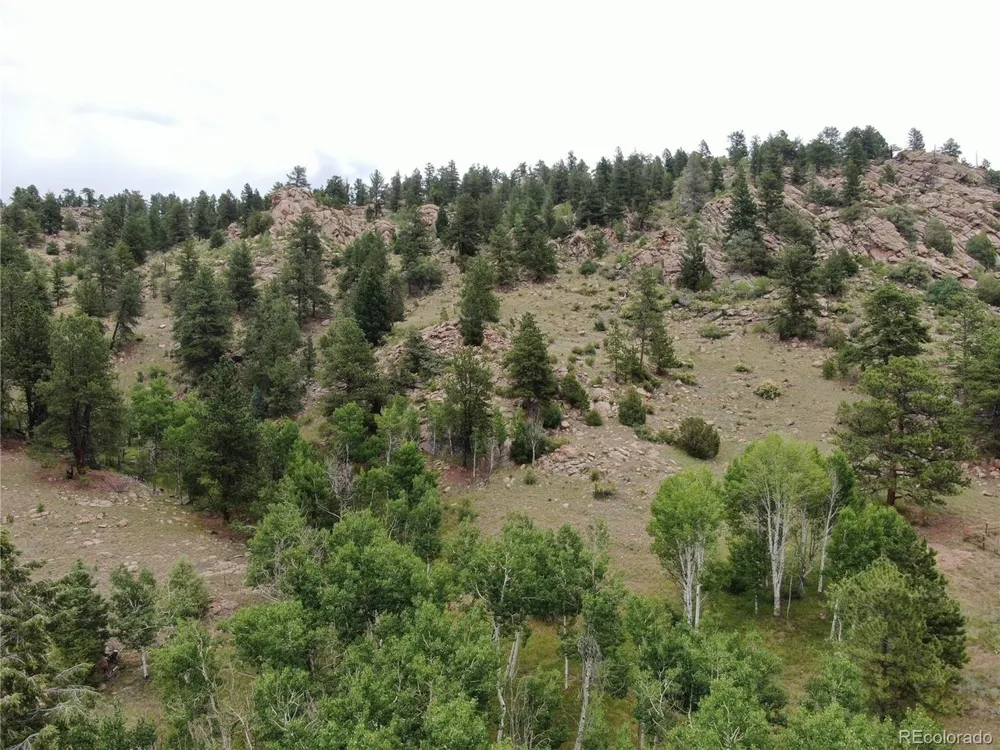 Address Not Shown Florissant, CO 80816