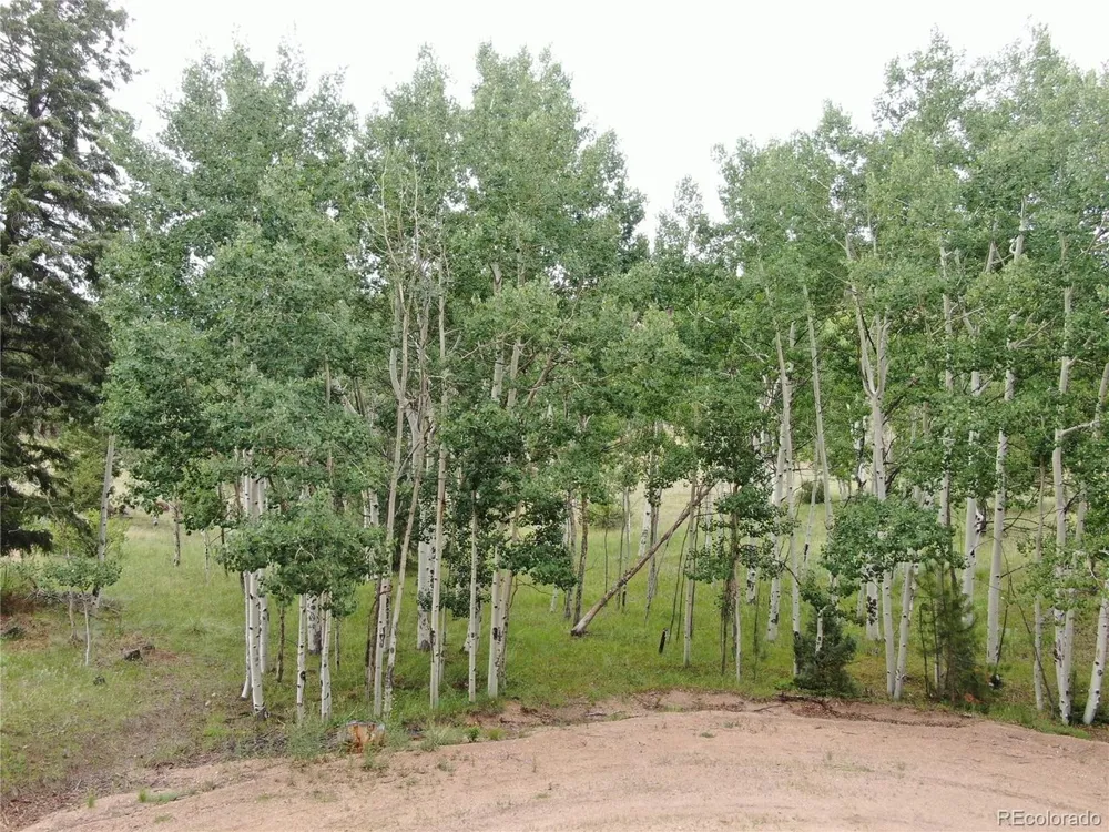 Address Not Shown Florissant, CO 80816