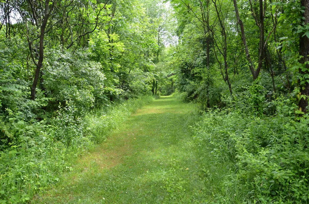 8874 1 Mile Road East Leroy, MI 49051