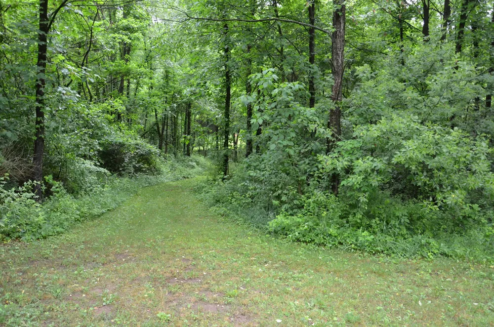 8874 1 Mile Road East Leroy, MI 49051