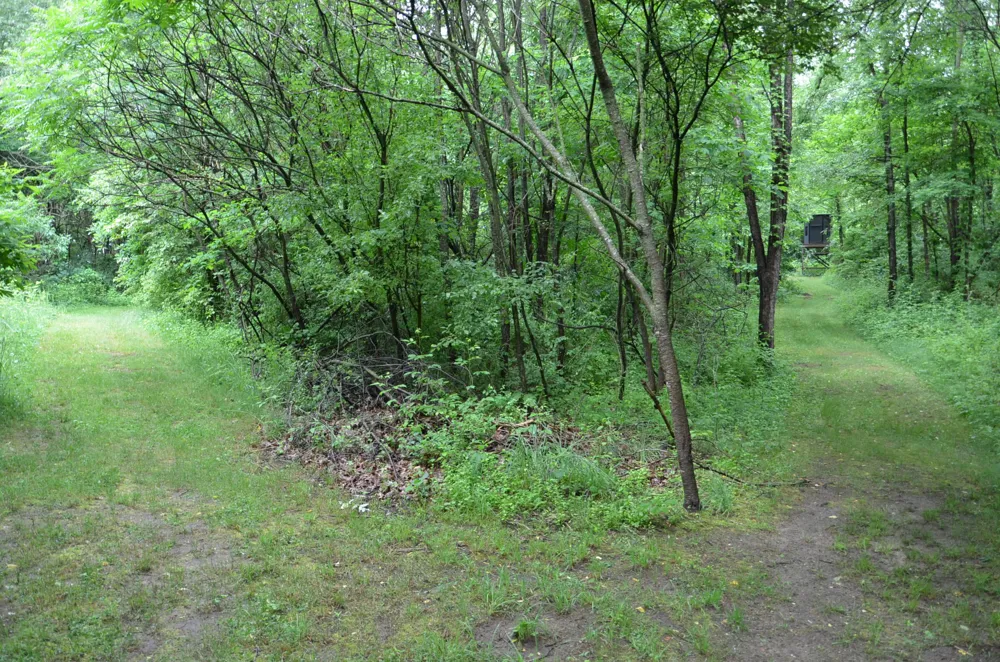 8874 1 Mile Road East Leroy, MI 49051