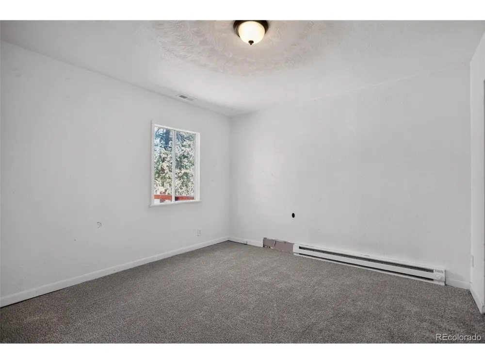 126 Sullivan Street Bailey, CO 80421