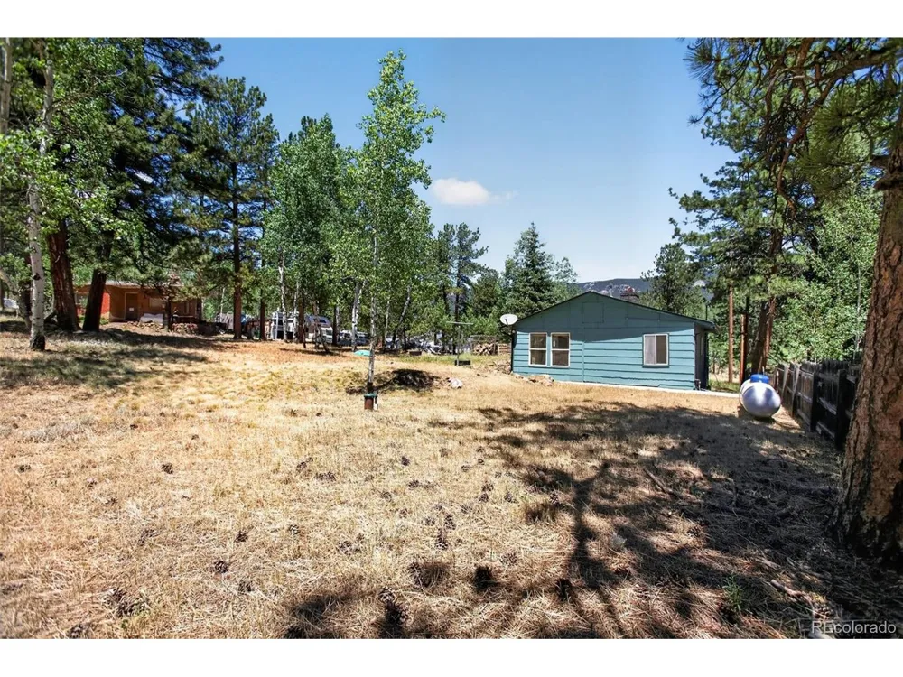 126 Sullivan Street Bailey, CO 80421