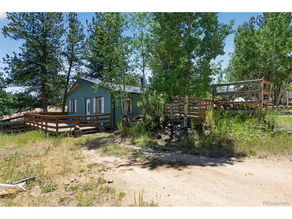126 Sullivan Street Bailey, CO 80421