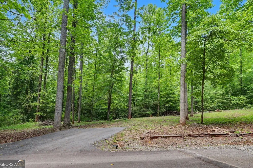 220A Brookwood LN Clarkesville, GA 30523