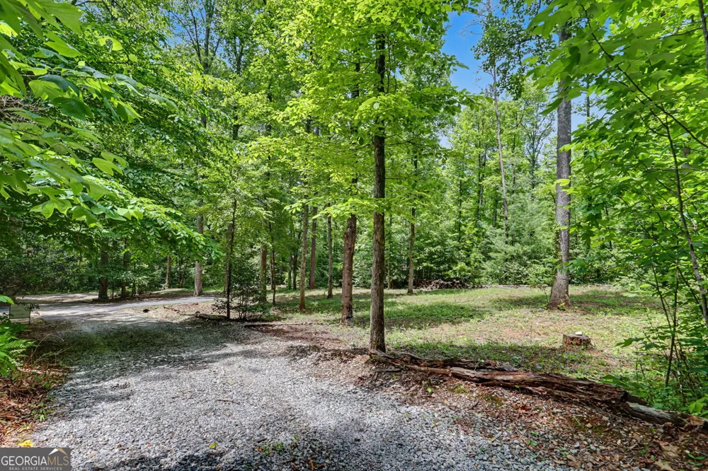 220A Brookwood LN Clarkesville, GA 30523
