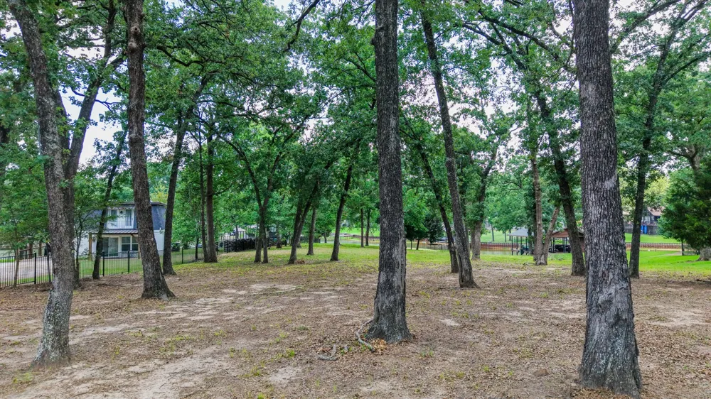 Sunflower Court Trinidad, TX 75163