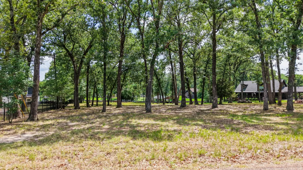 Sunflower Court Trinidad, TX 75163