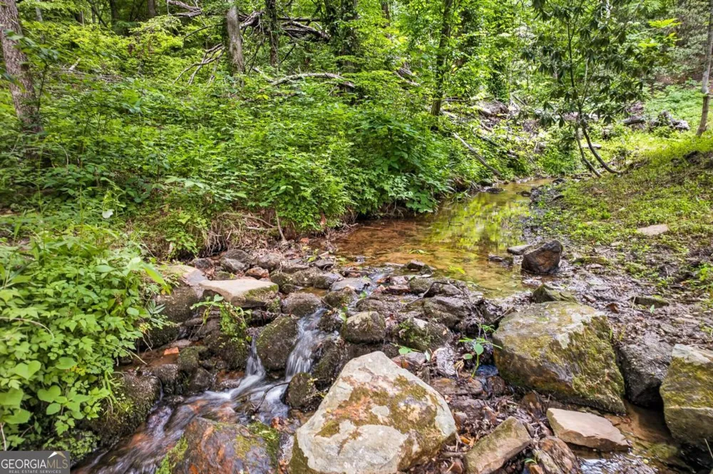 28 Rowland PTE Morganton, GA 30560