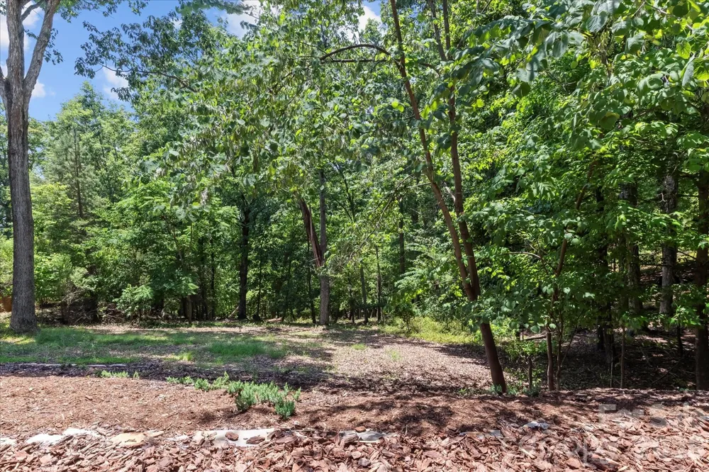 172 Lawson's Lookout Denton, NC 27239