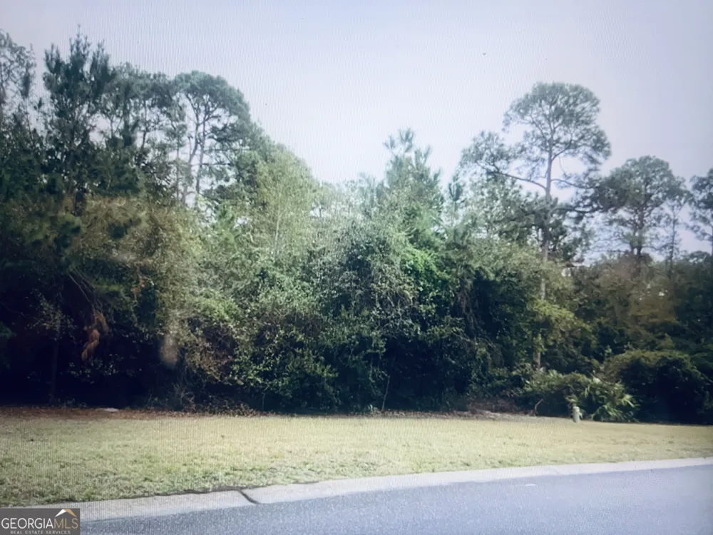0 Whispering Oaks LN St. Marys, GA 31558