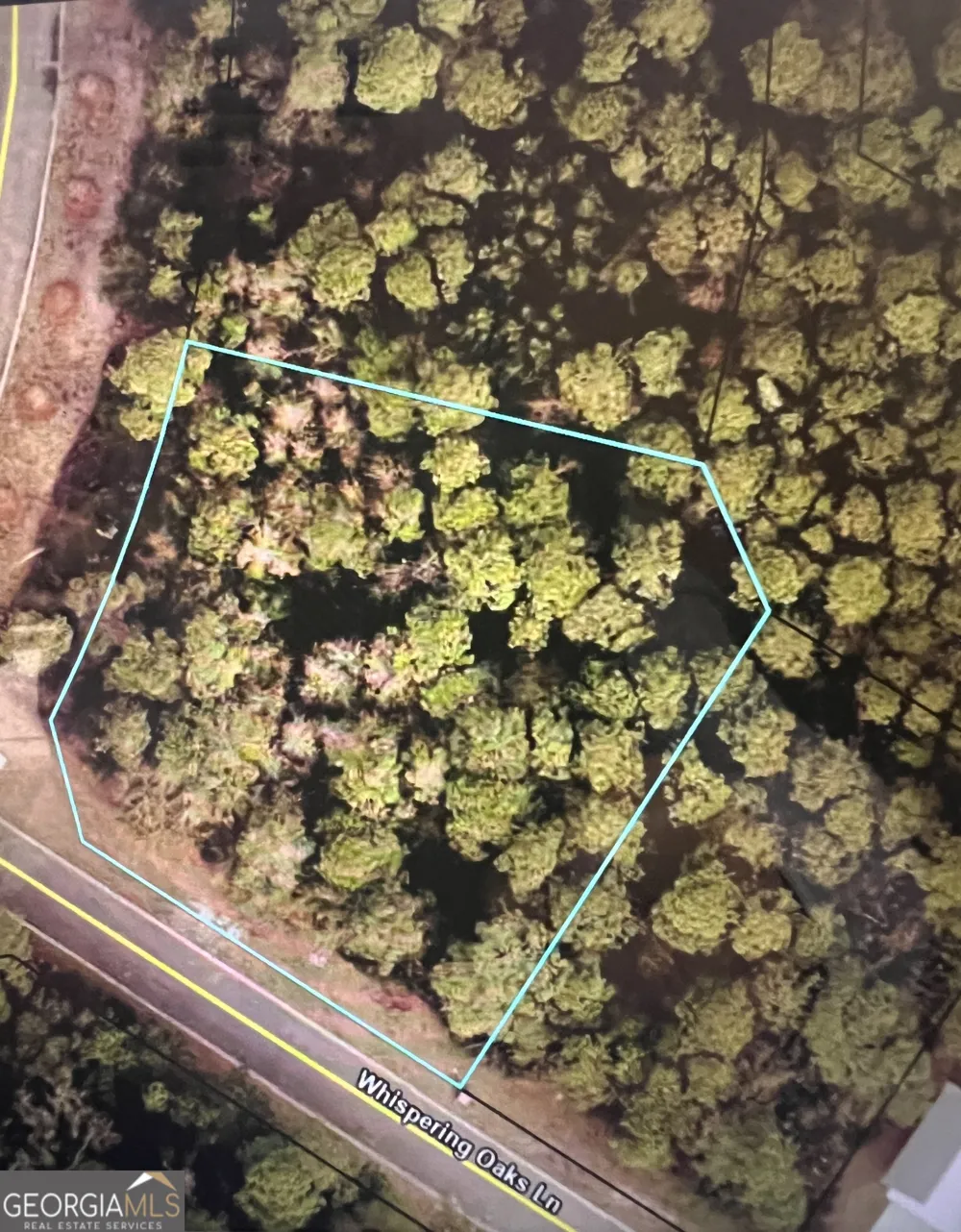 0 Whispering Oaks LN St. Marys, GA 31558