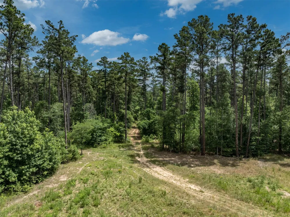 16210 State Highway 110 Lindale, TX 75771