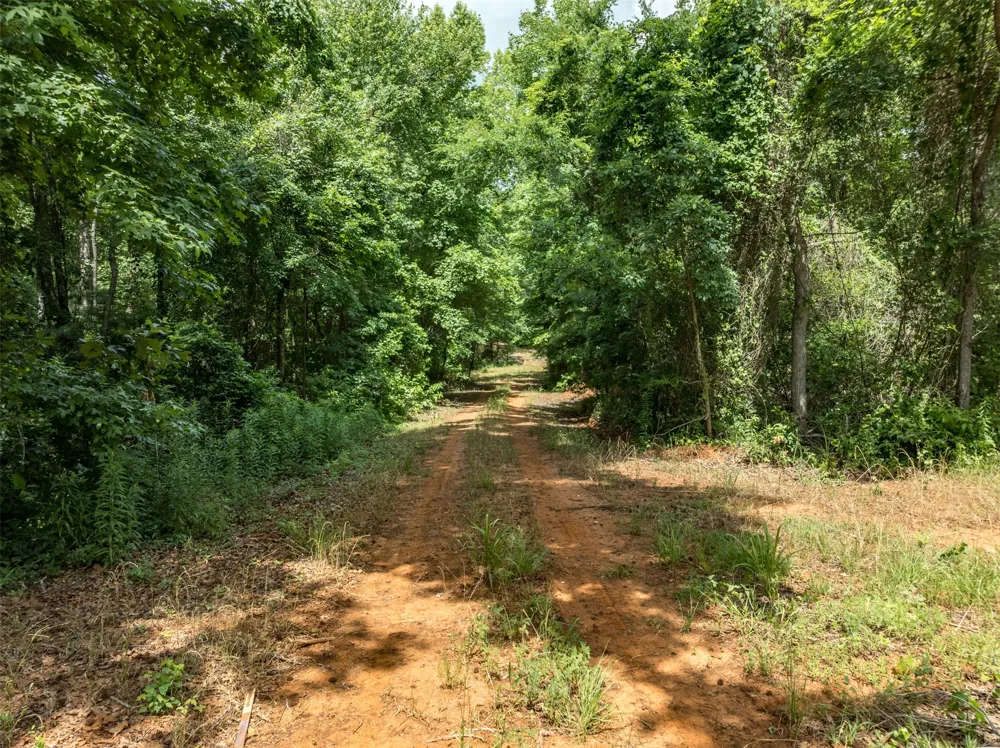 16210 State Highway 110 Lindale, TX 75771