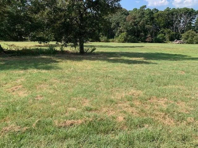 CR 3605 Bullard, TX 75757