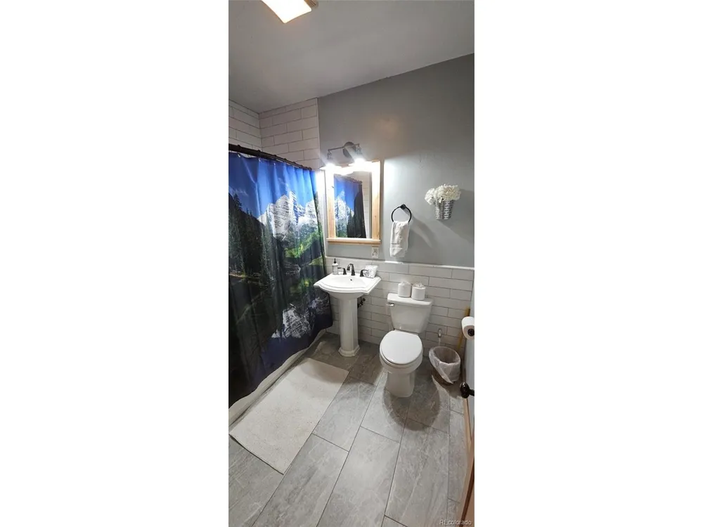 365 Gold Pan Lane Fairplay, CO 80440