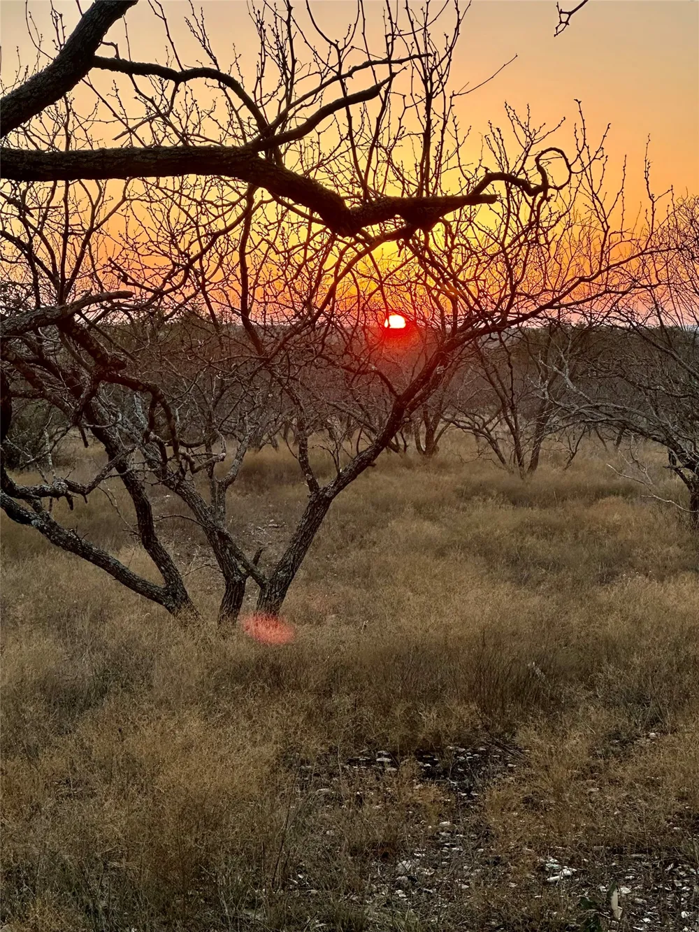 401 Fallow Spur Melvin, TX 76858