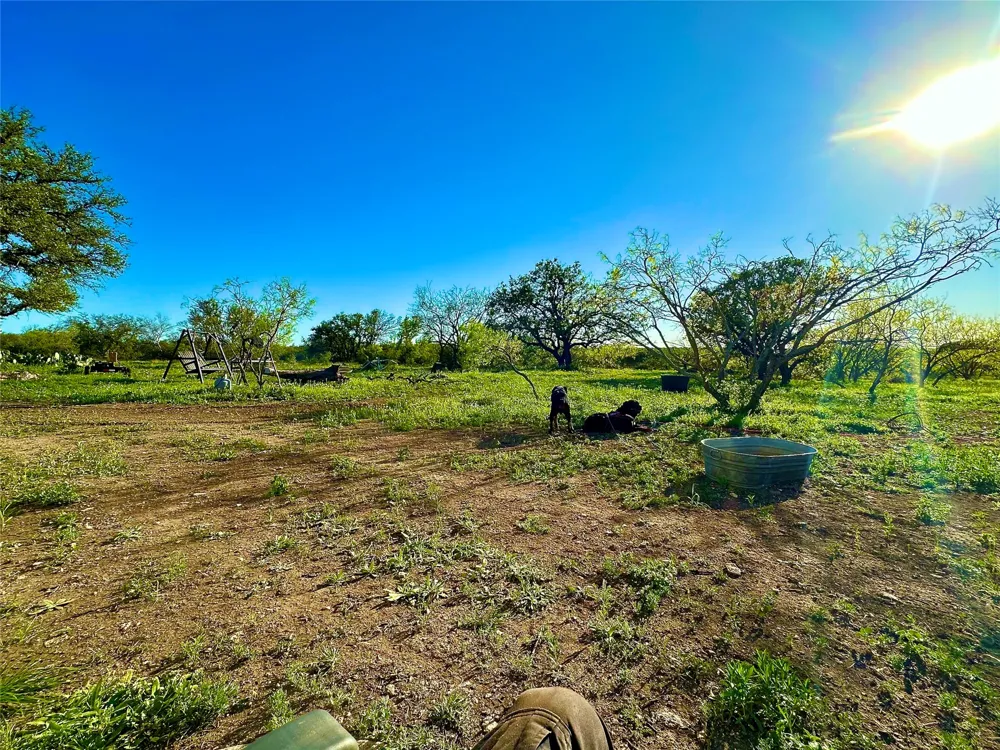401 Fallow Spur Melvin, TX 76858