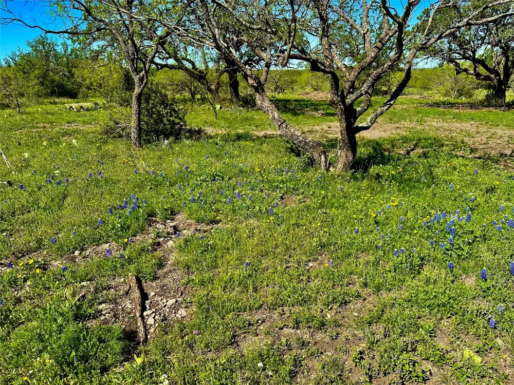 401 Fallow Spur Melvin, TX 76858