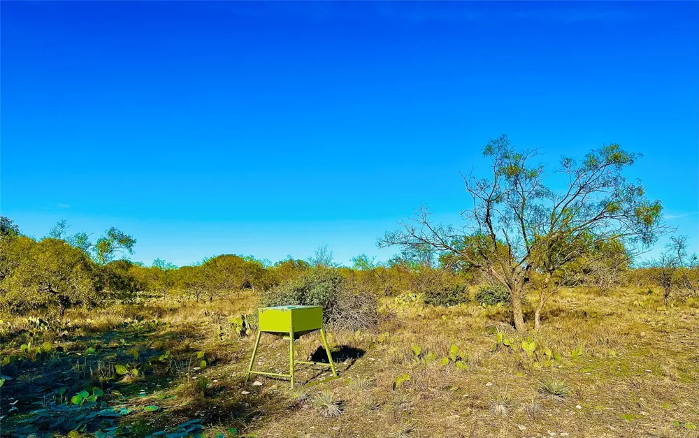 401 Fallow Spur Melvin, TX 76858