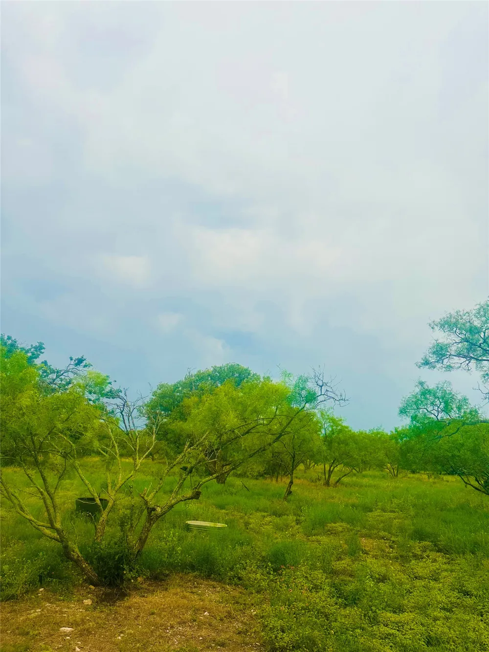 401 Fallow Spur Melvin, TX 76858