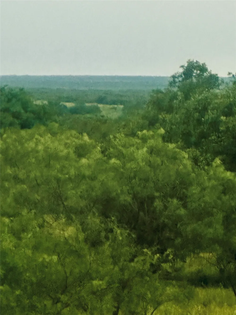 401 Fallow Spur Melvin, TX 76858