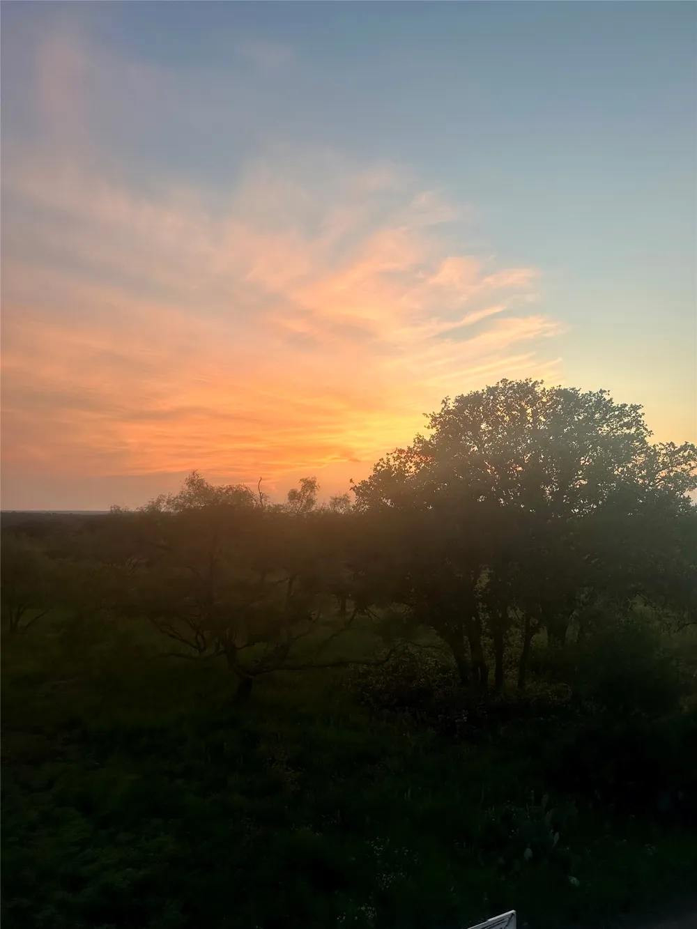 401 Fallow Spur Melvin, TX 76858