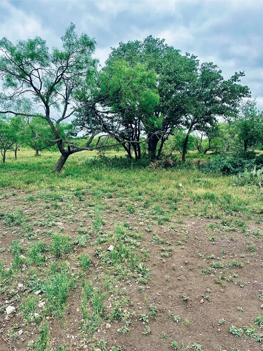 401 Fallow Spur Melvin, TX 76858