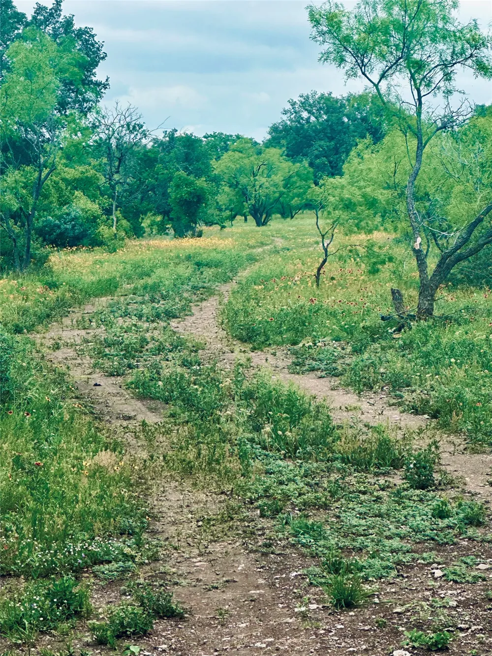 401 Fallow Spur Melvin, TX 76858