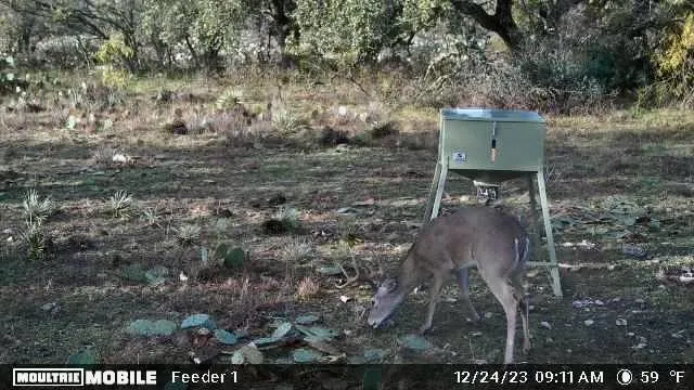 401 Fallow Spur Melvin, TX 76858