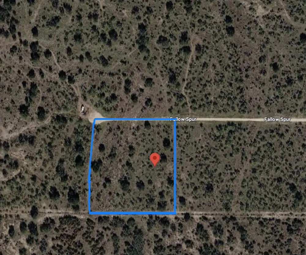 401 Fallow Spur Melvin, TX 76858