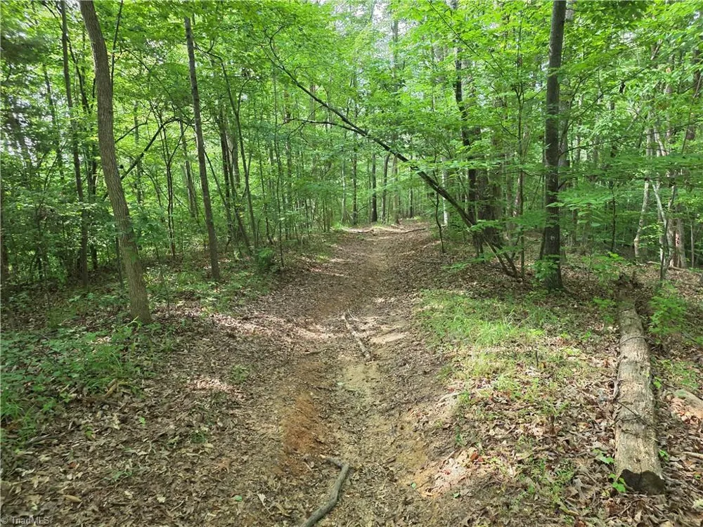 xx 31.85 +-ac Hampton Road Germanton, NC 27019