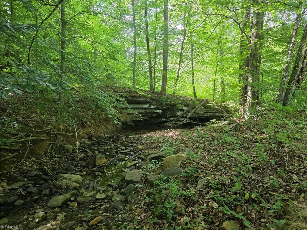xx 31.85 +-ac Hampton Road Germanton, NC 27019